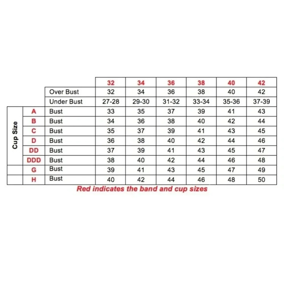 34D Paramour 115009‎ Ellie Demi Unlined Lace Underwire Bra Blue Blossoms NWT - Picture 7 of 11